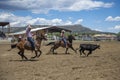 Rodeo Team Calf Roping, Cowboys