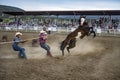 Rodeo Wild Horse Race, Cowboys