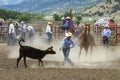 Wild West Rodeo Calf Roping