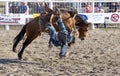 Cowboys competing in Ranch Bronc Riding