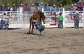 Cowboys competing in Ranch Bronc Riding