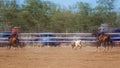 Team Calf Roping At A Country Rodeo Royalty Free Stock Photo