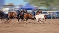 Team Calf Roping At A Country Rodeo Royalty Free Stock Photo