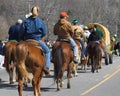 Cowboys & cowgirls