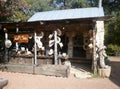 Cowboys hats shop in Texas