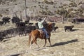 Cowboys ranch horses roundup moving cows cow herd