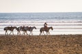 cowboys leading horses along the beach in Jaco, Costa Rica