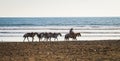 cowboys leading horses along the beach in Jaco, Costa Rica