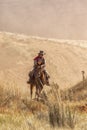 Cowboys Moving the Herd Royalty Free Stock Photo