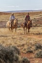 Cowboys Moving the Herd Royalty Free Stock Photo