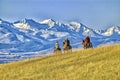 Cowboys on the range mountain background