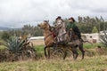 Cowboys riding on horse back in field