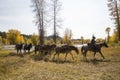 Cowboys Riding Through Pilgrim Creek - Grand Teton