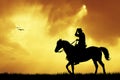 Cowboys silhouette at sunset Royalty Free Stock Photo