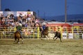 Cowboys team rope a steer at the Warbonnet Roundup Rodeo