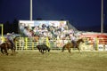 Cowboys team rope a steer at the Warbonnet Roundup Rodeo