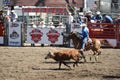 Cowboys team roping.