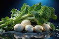 Cowed white radish and green broccoli on the blue Royalty Free Stock Photo