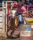 Cowgirl Barrel Racer Royalty Free Stock Photo