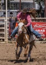 Cowgirl Barrel Racer