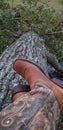 Cowgirl Boots In Nature