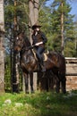 Cowgirl on brown horse Royalty Free Stock Photo