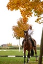 Cowgirl in a cowboy hat rides a horse on the background of the forest. Motion blur effect. Royalty Free Stock Photo