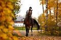 Cowgirl in a cowboy hat rides a horse on the background of the forest. Motion blur effect. Royalty Free Stock Photo