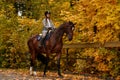 Cowgirl in a cowboy hat rides a horse on the background of the forest. Motion blur effect. Royalty Free Stock Photo