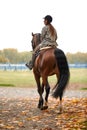 Cowgirl in a cowboy hat rides a horse on the background of the forest. Motion blur effect. Royalty Free Stock Photo