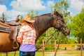 Cowgirl getting horse ready for ride on countryside Royalty Free Stock Photo