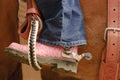 Cowgirl on horse Royalty Free Stock Photo