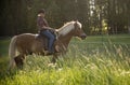 Cowgirl horseback riding in forest