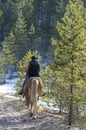 Cowgirl horseback riding in forest