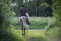 Cowgirl horseback riding in forest