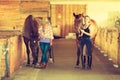 Cowgirl and jockey walking with horses in stable Royalty Free Stock Photo