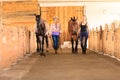 Cowgirl and jockey walking with horses in stable Royalty Free Stock Photo