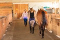 Cowgirl and jockey walking with horses in stable Royalty Free Stock Photo