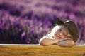 Cowgirl on lavender Royalty Free Stock Photo