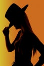 Cowgirl with orange background silhouette with highlights