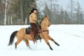 Cowgirl pulling back on the reins Royalty Free Stock Photo