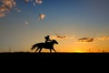 Cowgirl on the run Royalty Free Stock Photo