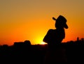 Cowgirl Silhouette