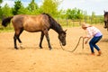 Cowgirl standing next to brown horse friend Royalty Free Stock Photo