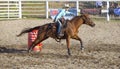 Cowgirls competing in barrel riding Royalty Free Stock Photo