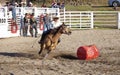 Cowgirls competing in barrel riding