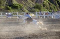 Cowgirls competing in barrel riding