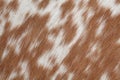 Cowhide brown