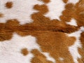Cowhide hair cow skin black and white background