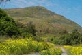 Cowles Mountain in Springtime Royalty Free Stock Photo